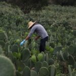 Prácticas Sostenibles Agropecuarias