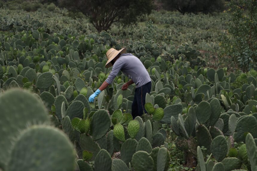 Prácticas Sostenibles Agropecuarias