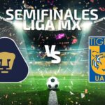Tigres vs Pumas