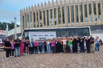 Faena en Tecamachalco