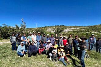 Jornadas de reforestación como parte del programa “Raíces del Futuro