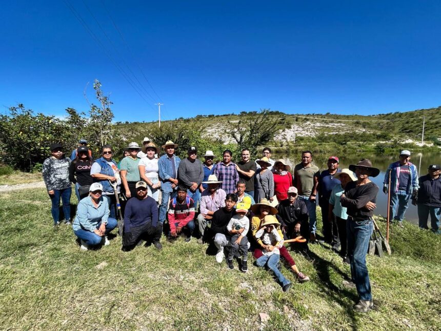 Jornadas de reforestación como parte del programa “Raíces del Futuro