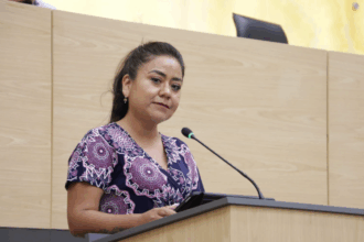diputada Celia Bonaga Ruíz