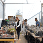 Vivero universitario