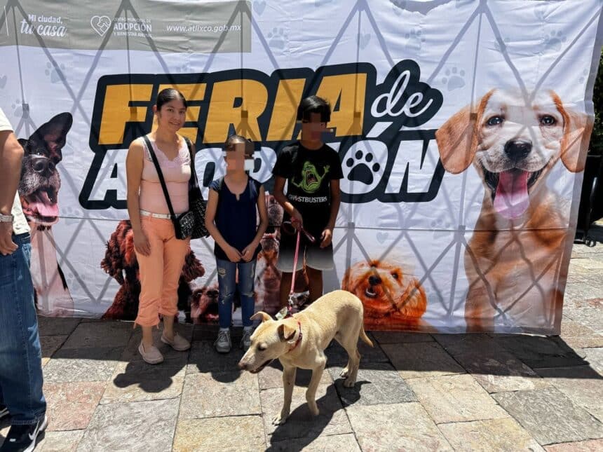 adopción