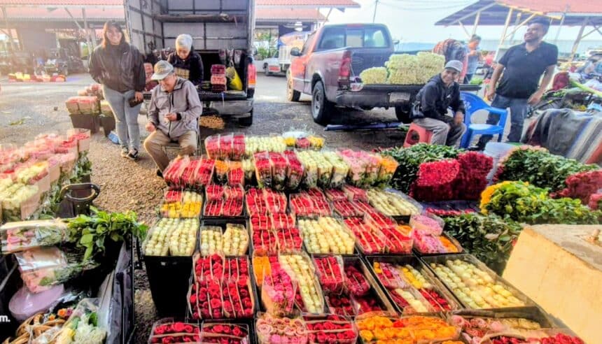flores Atlixco