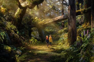 bosque salvaje
