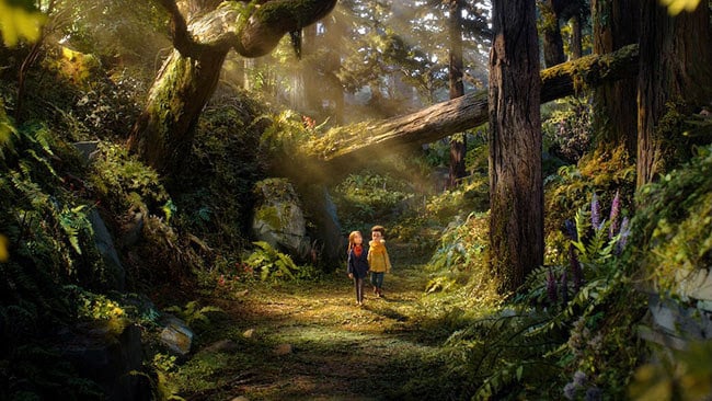 bosque salvaje