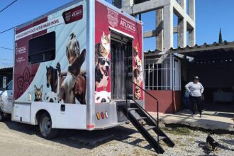 jornada-esterilizacion-atlixco