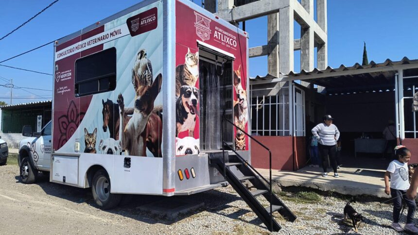 jornada-esterilizacion-atlixco