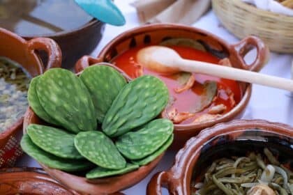 Feria del Nopal en San Bernardino Tlaxcalancingo