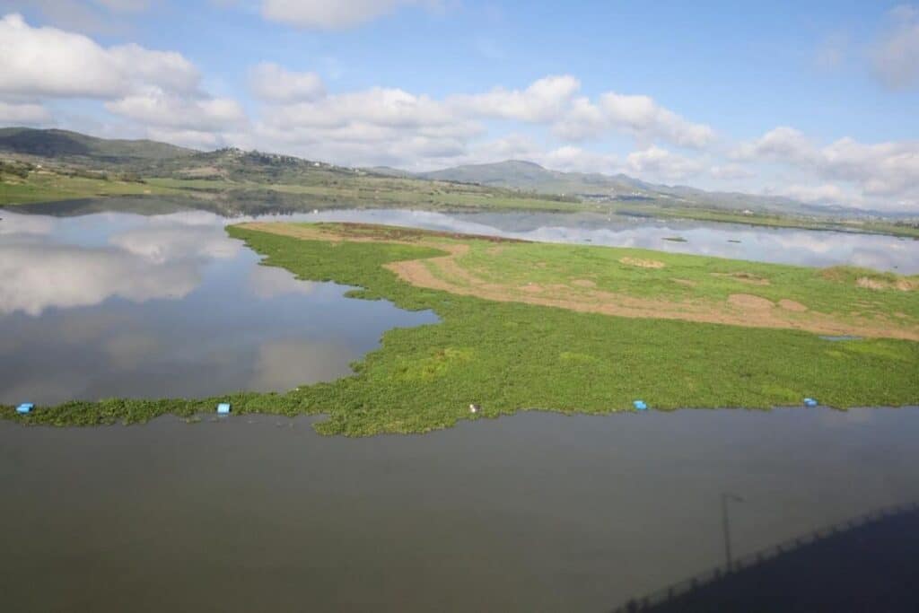 Rescate Lago de Valsequillo
