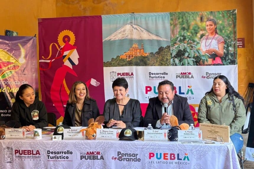 Tlahuapan temporada de luciérnagas