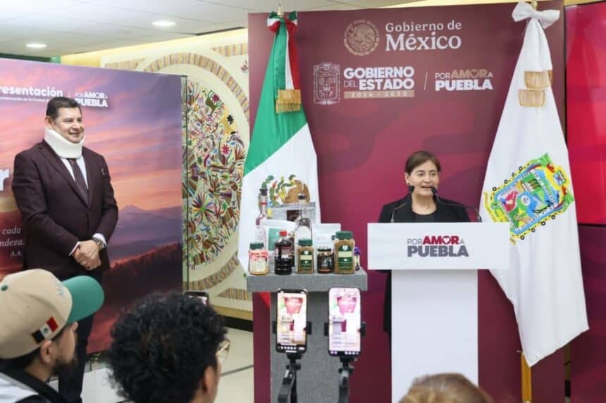 Puebla proyectos tecnológicos