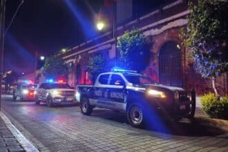 Tonantzin Fernández disminución de delitos