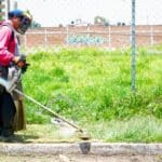 Tonantzin Fernández Transformación en Marcha