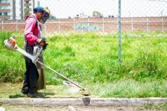 Tonantzin Fernández Transformación en Marcha