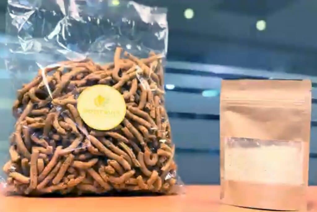 Estudiantes BUAP churritos desnutrición