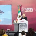 Gobierno estatal incendios forestales