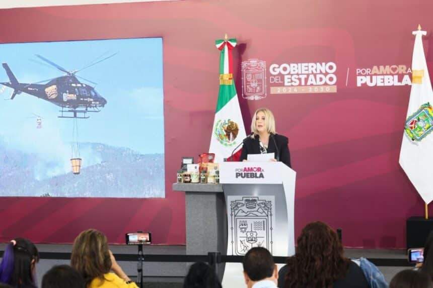 Gobierno estatal incendios forestales