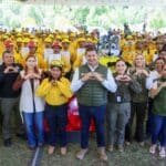 Gobierno estatal labor forestal