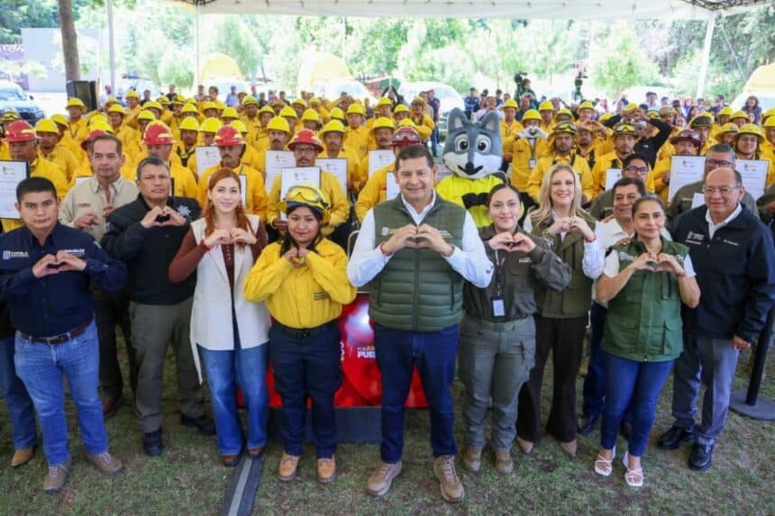 Gobierno estatal labor forestal