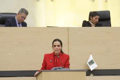 Grace Palomares iniciativa delitos Congreso del Estado