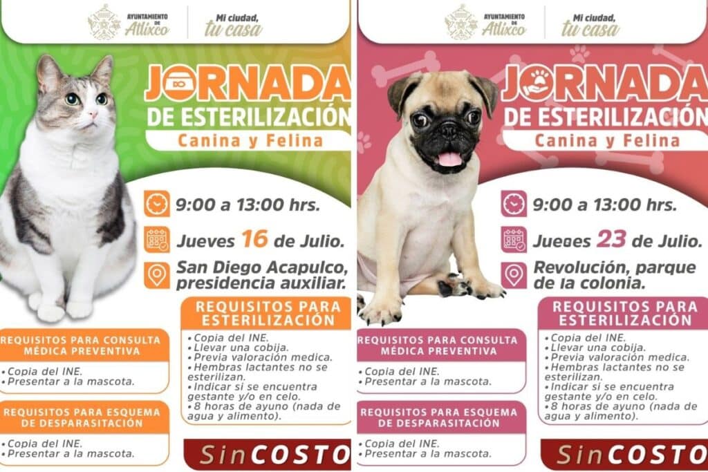 Jornada esterilización canina y felina