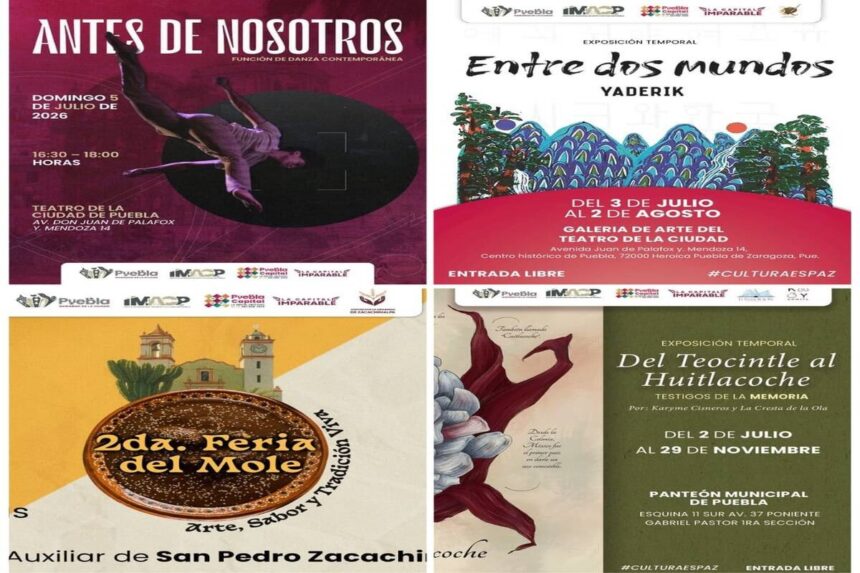 Pepe Chedraui actividades fin de semana