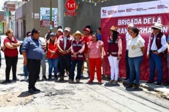 Tonantzin Fernández Brigadas de Transformación