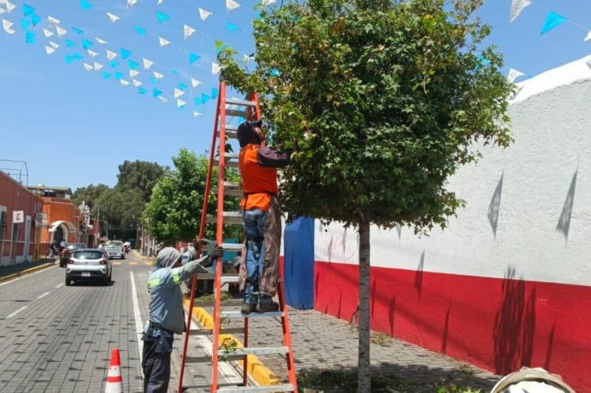 Tonantzin Fernández mejora imagen urbana