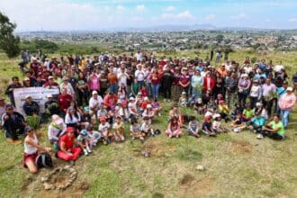 Tonantzin Fernández reforestación Cerro Zapotecas