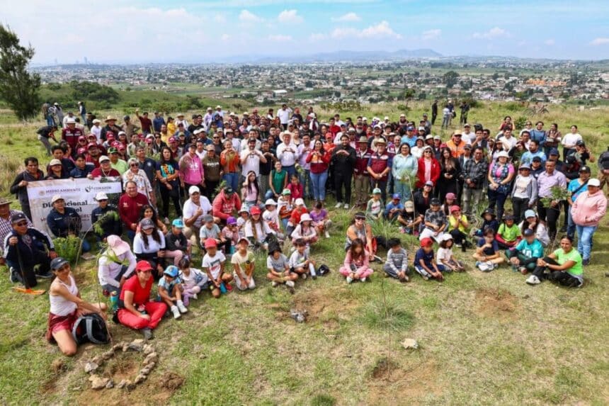 Tonantzin Fernández reforestación Cerro Zapotecas