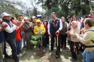 Alejandro Armenta Jornada de Reforestación