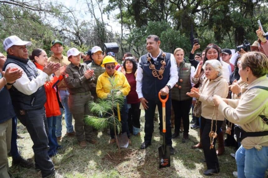 Alejandro Armenta Jornada de Reforestación