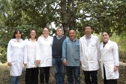 BUAP nanomateriales gusano barrenador