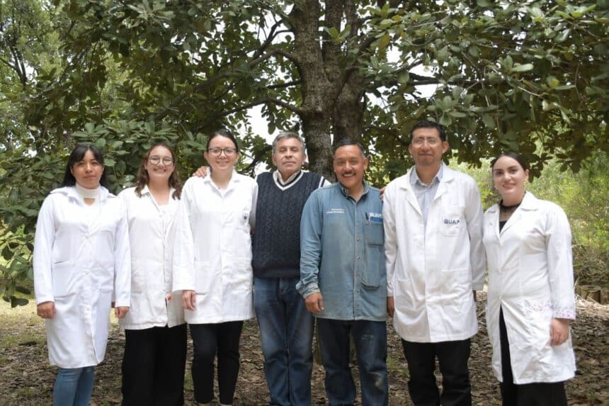 BUAP nanomateriales gusano barrenador