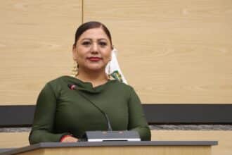 Congreso de Puebla Araceli Celestino