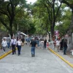 Panteón Municipal mantenimiento