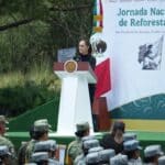 Pepe Chedraui Sheinbaum jornada de Reforestación
