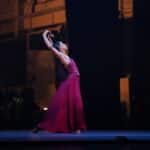 Puebla Gala Elisa Carrillo