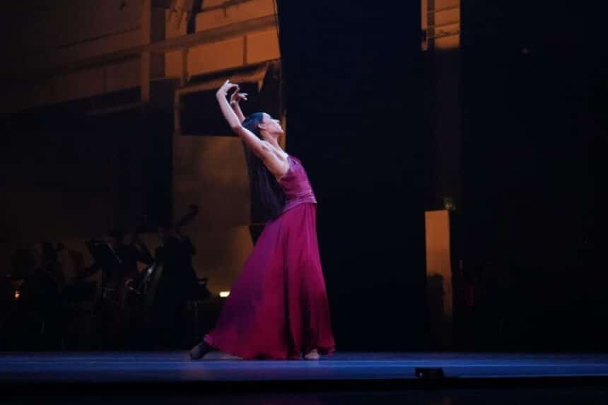 Puebla Gala Elisa Carrillo