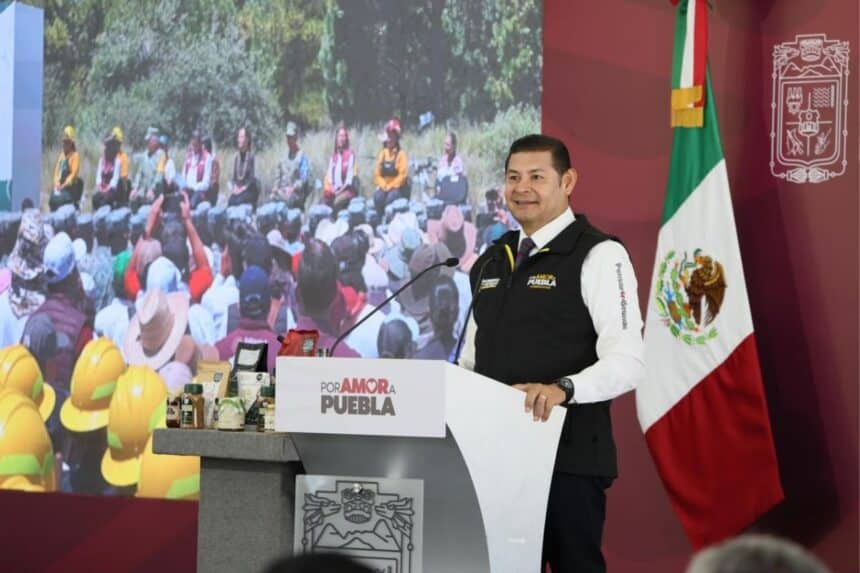 Viviendas guardias forestales