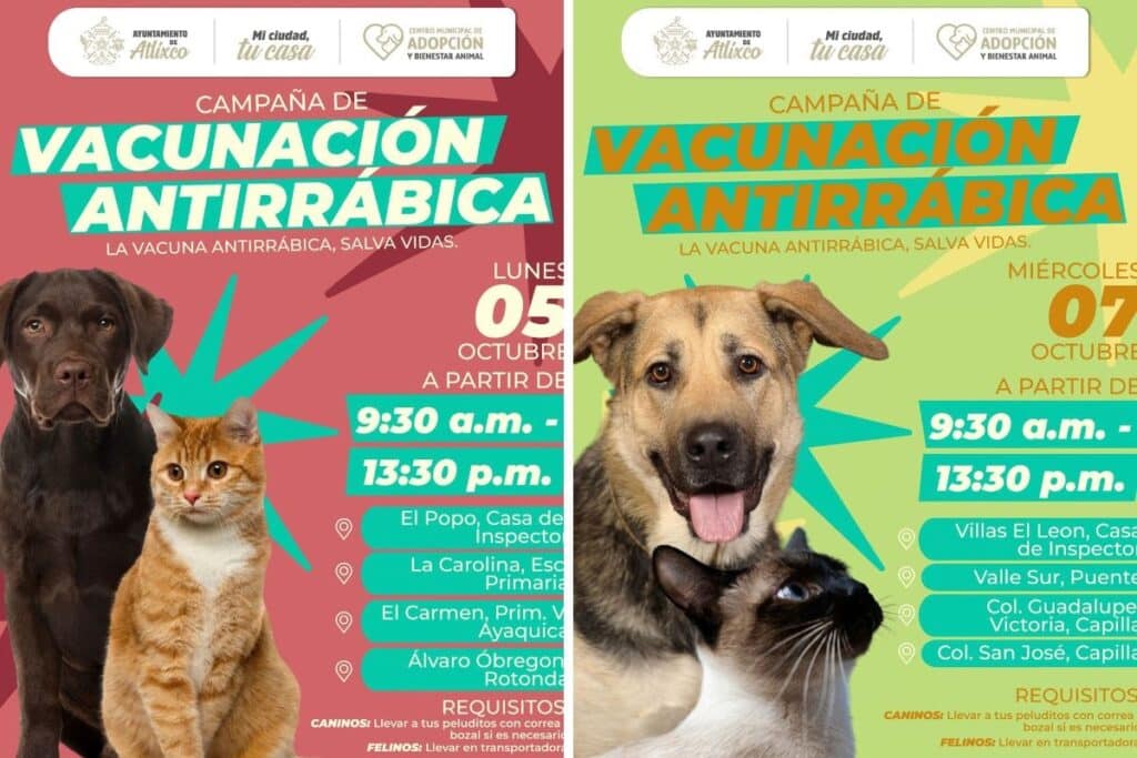 Atlixco campaña de vacunación antirrábica