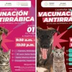 Atlixco Jornadas de Vacunación Antirrábica