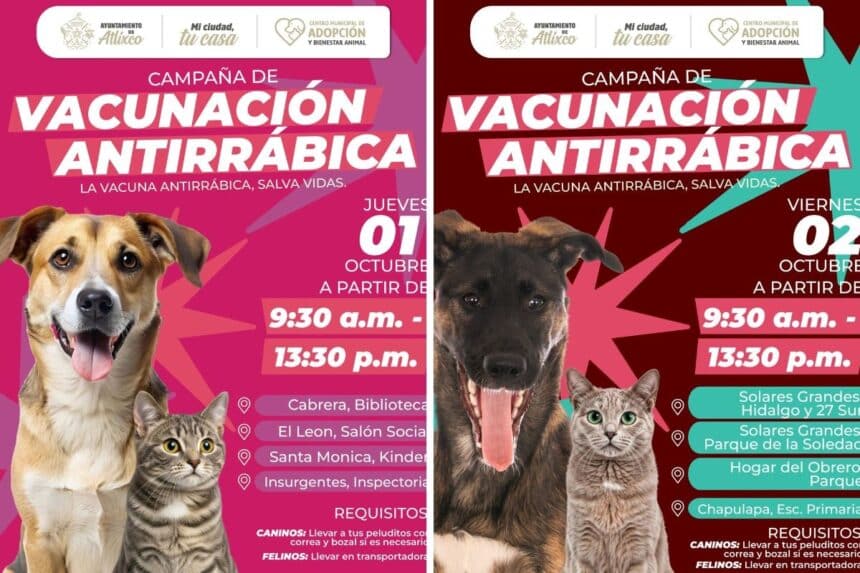 Atlixco Jornadas de Vacunación Antirrábica