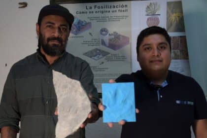 Investigadores BUAP nuevas huellas de dinosaurio