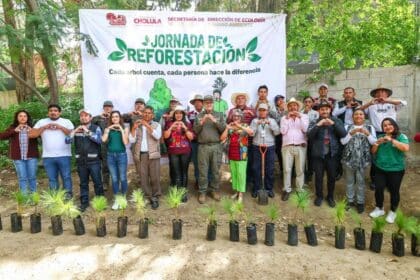 Tonantzin Fernández Jornada de Reforestación Cerro Zapotecas