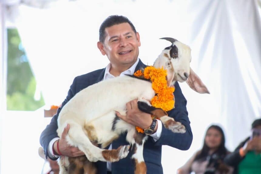 Alejandro Armenta Temporada Mole de Caderas 2026