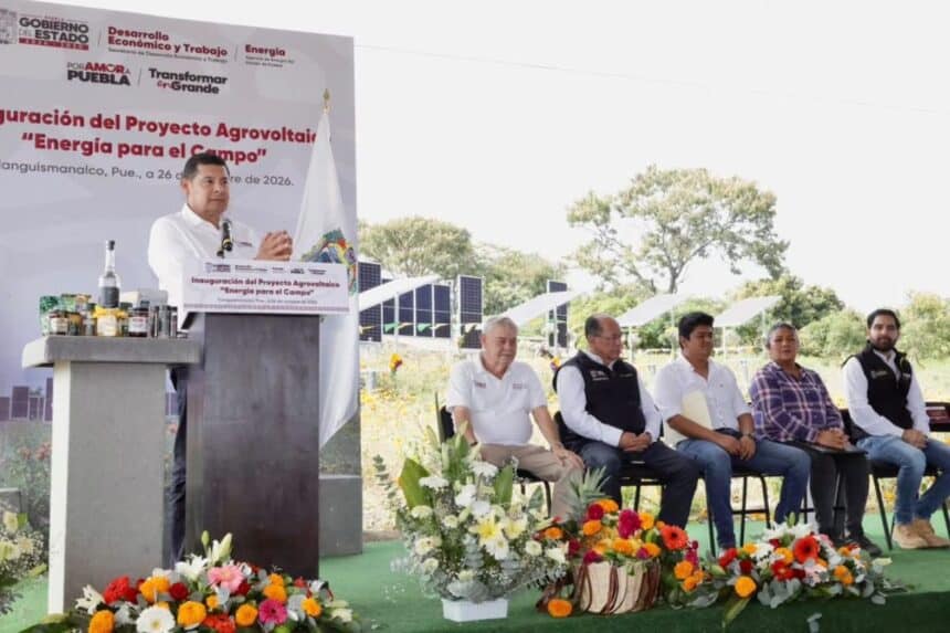 Alejandro Armenta proyecto agrovoltaico Tianguismanalco